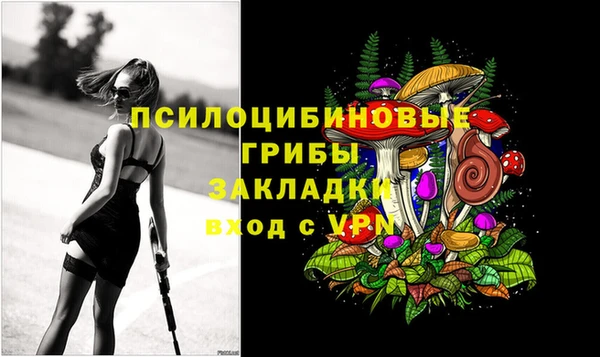 apvp Россошь