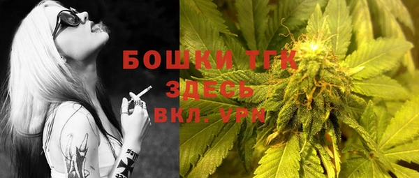 спиды Аркадак